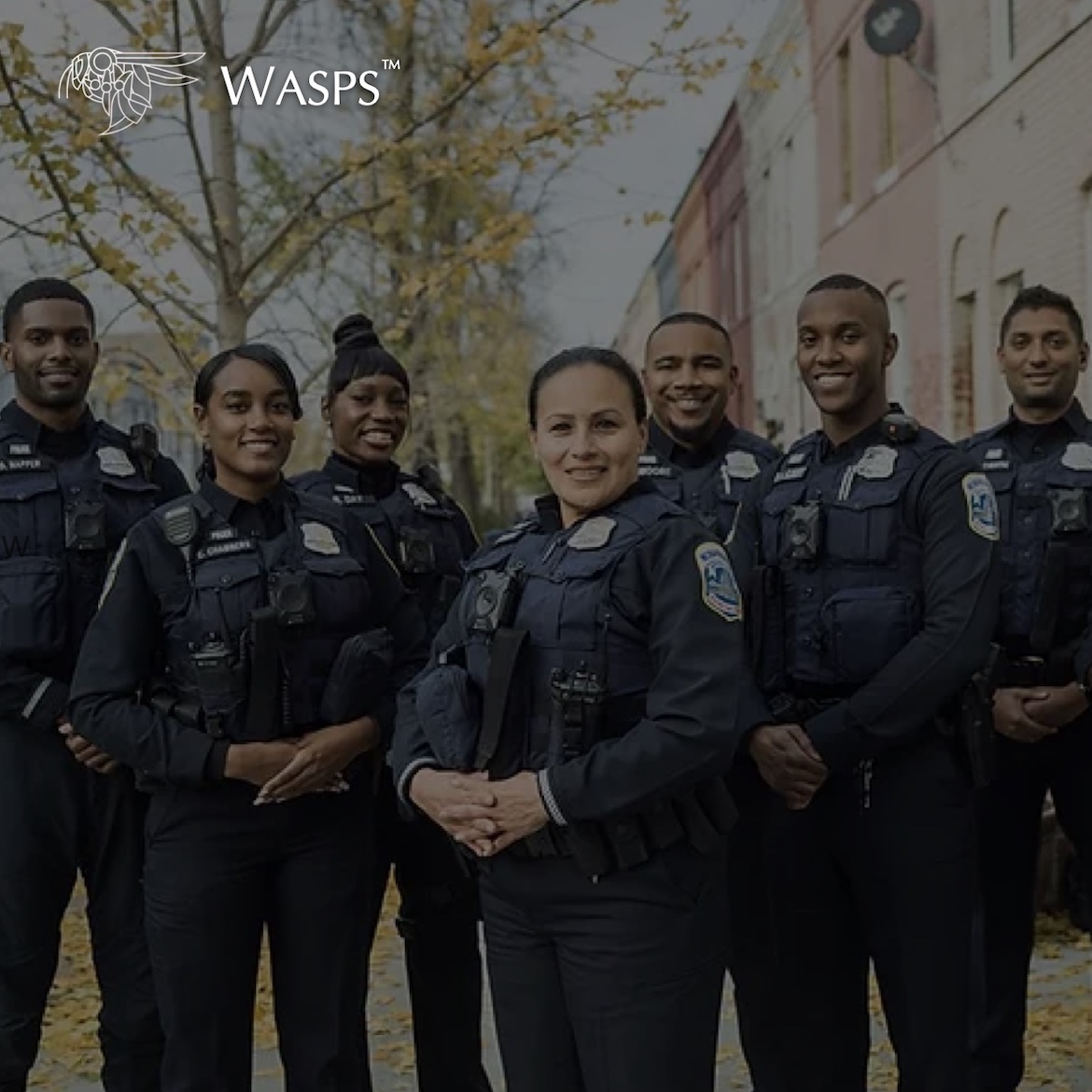 WASPS Portfolio Tile